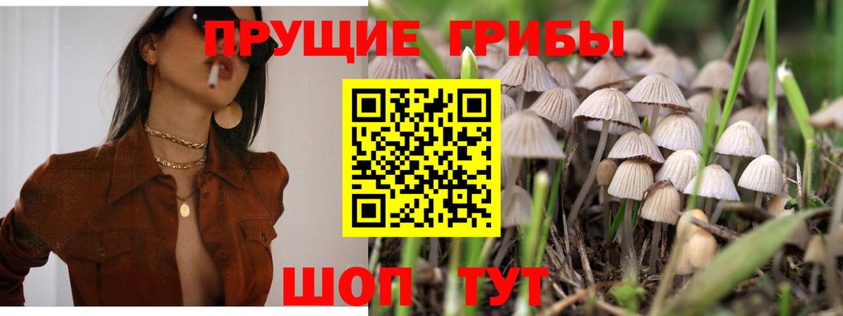 Галлюциногенные грибы Cubensis  наркошоп  Вход с VPN  Когалым  Галлюциногенные грибы прущие грибы 