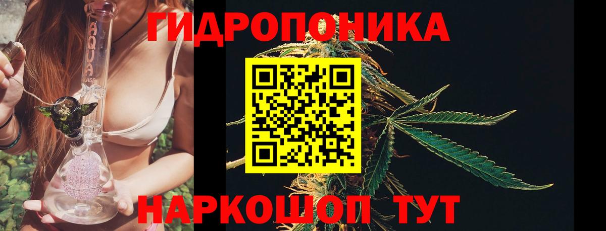 Каннабис сатива Когалым